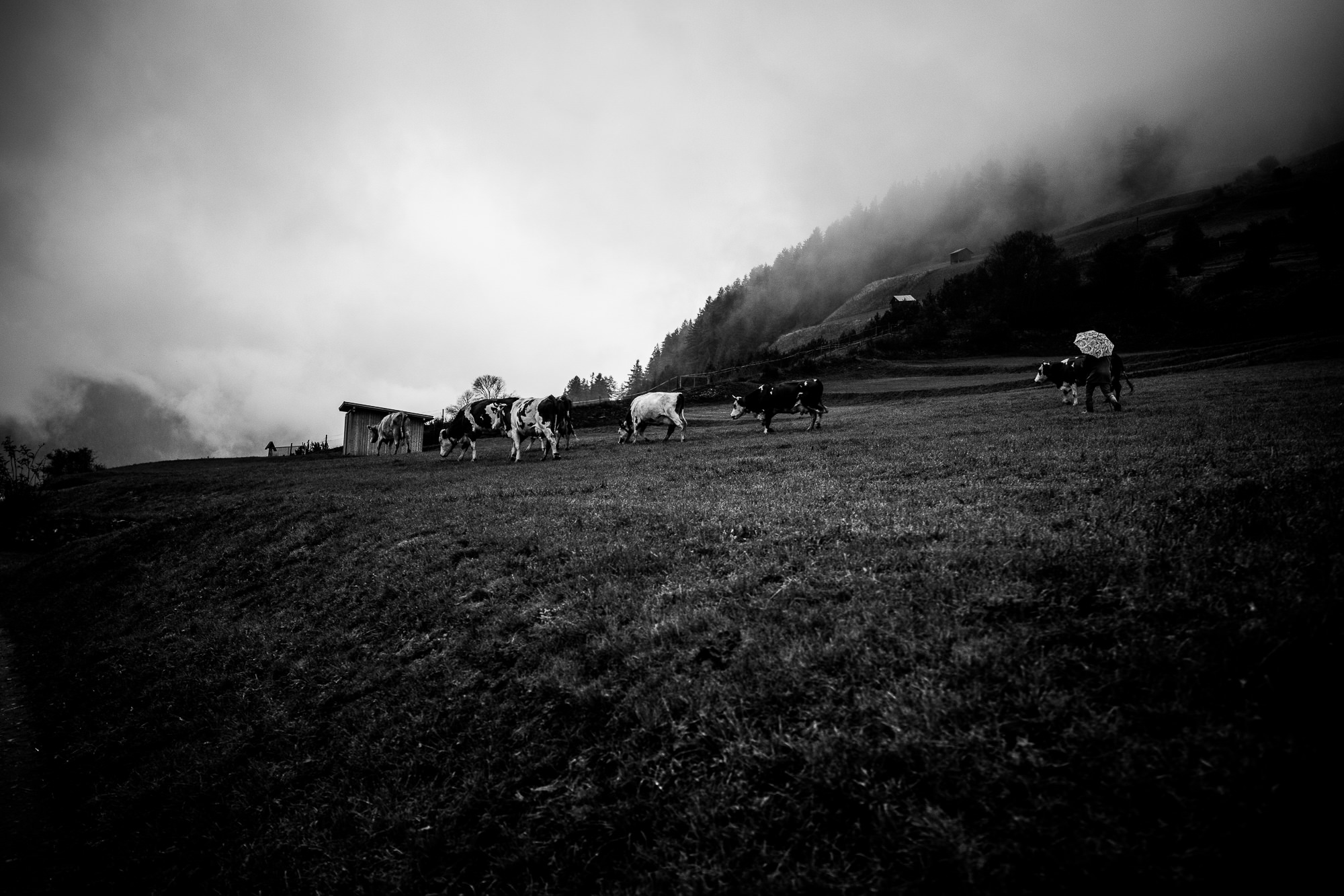 Export x3 5D4 0227 Fotoshooting 2018 Annette & Mike Nauders 3